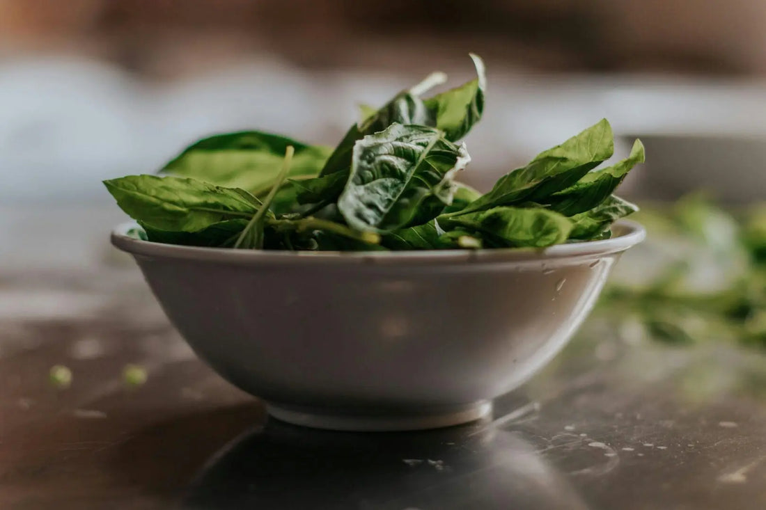 A Nutrient-Rich Green for Dogs: Dried Spinach