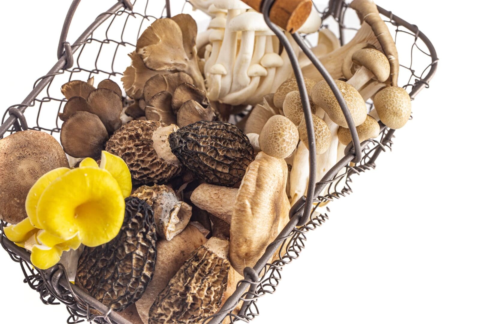 A basket filled with different types of mushrooms.