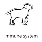 A dog is shown in the shape of an immune system.